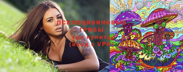 MDMA Premium VHQ Белокуриха